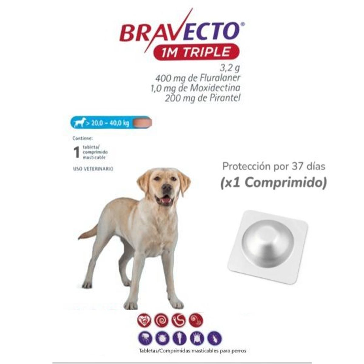 BRAVECTO - Antipulga Bravecto 20-40KG x 1 Tab Protección Mensual