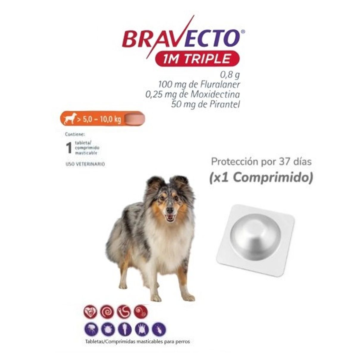 BRAVECTO - Antipulga Bravecto 5 -10KG x 1 Tab Protección Mensual