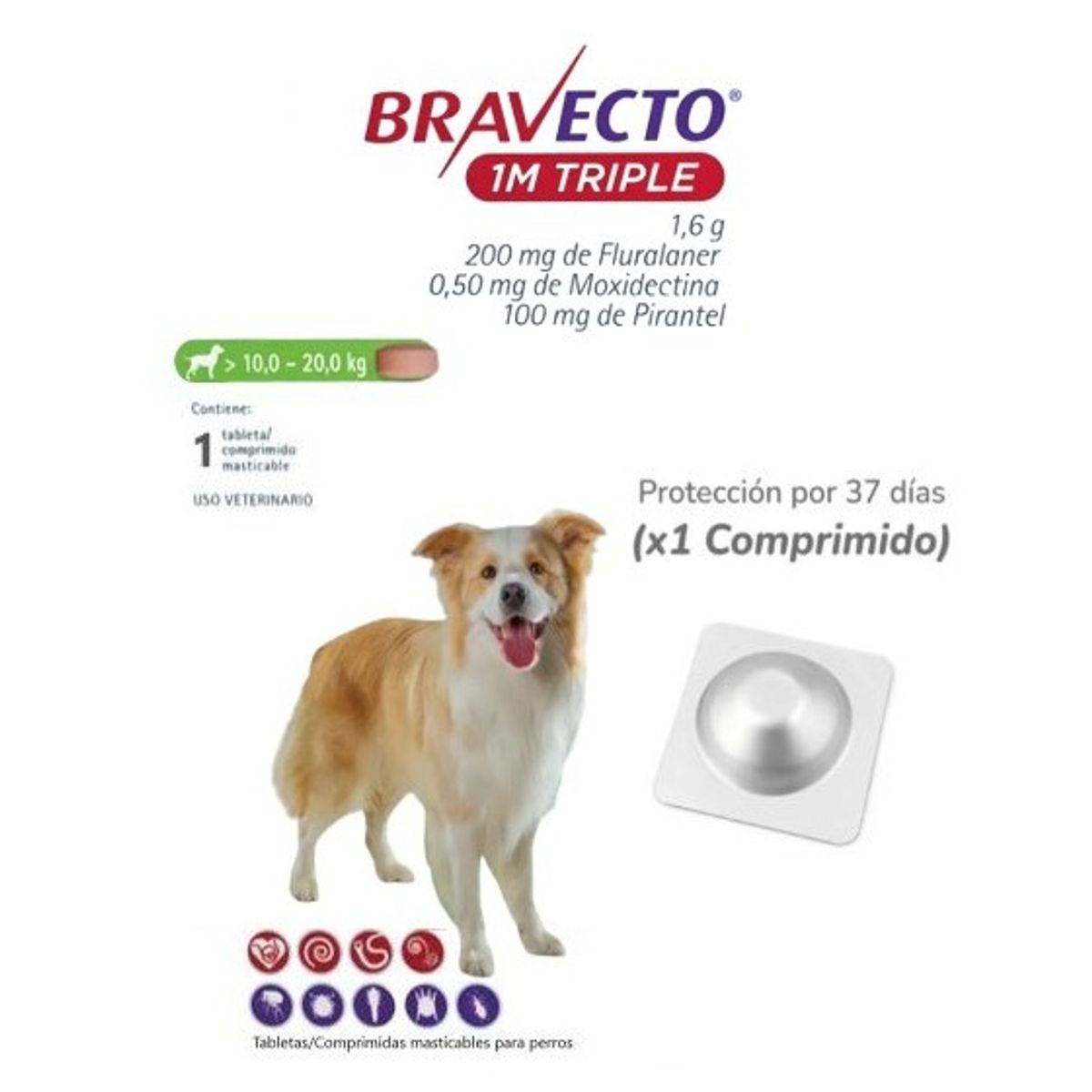 BRAVECTO - Antipulga Bravecto 10-20KG x 1 Tab Protección Mensual