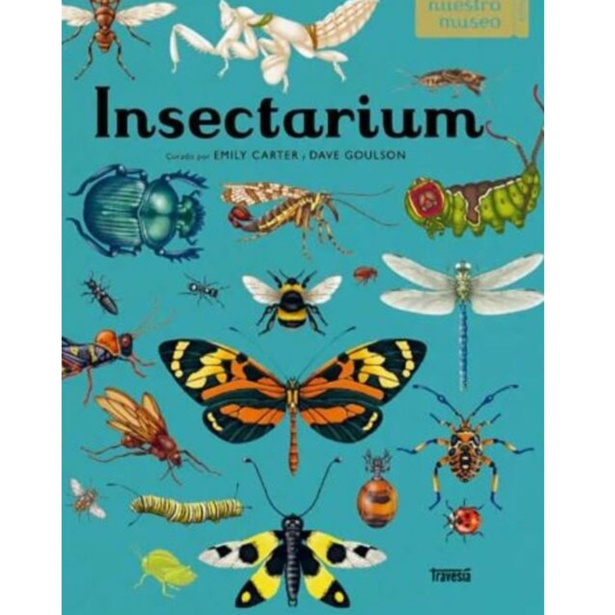 OCEANO - Insectarium Libro sobre insectos