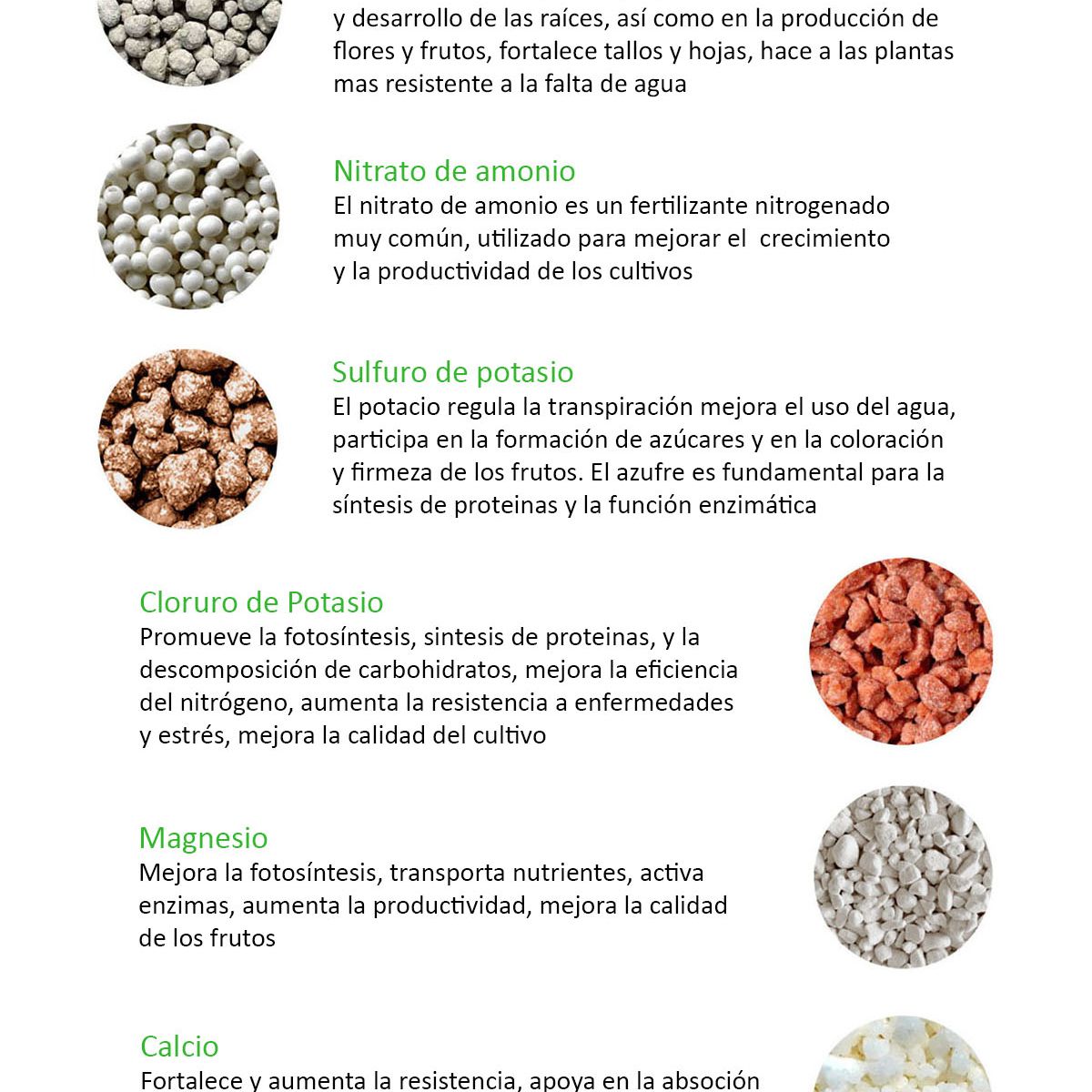 OEM - Abono compuesto 20 - 20 - 20 - 10 más elementos menores - 1.20 Kg