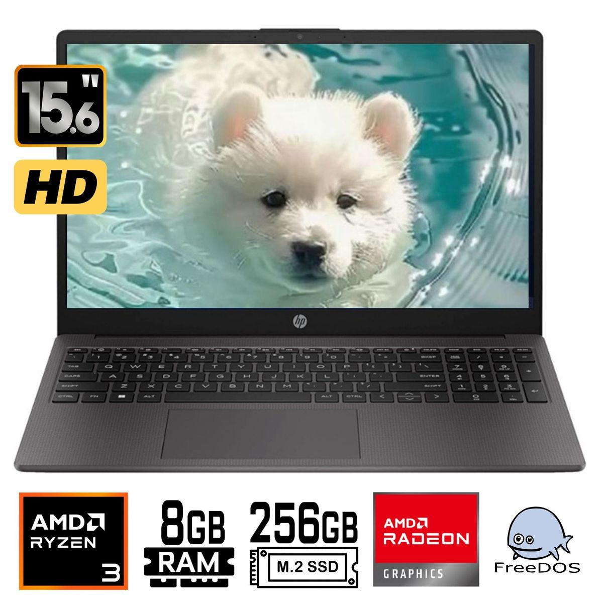 HP - Laptop Hp 255 G10 AMD Ryzen 3 7320U Ram 8Gb SSD 256Gb 15.6"HD FreeDos