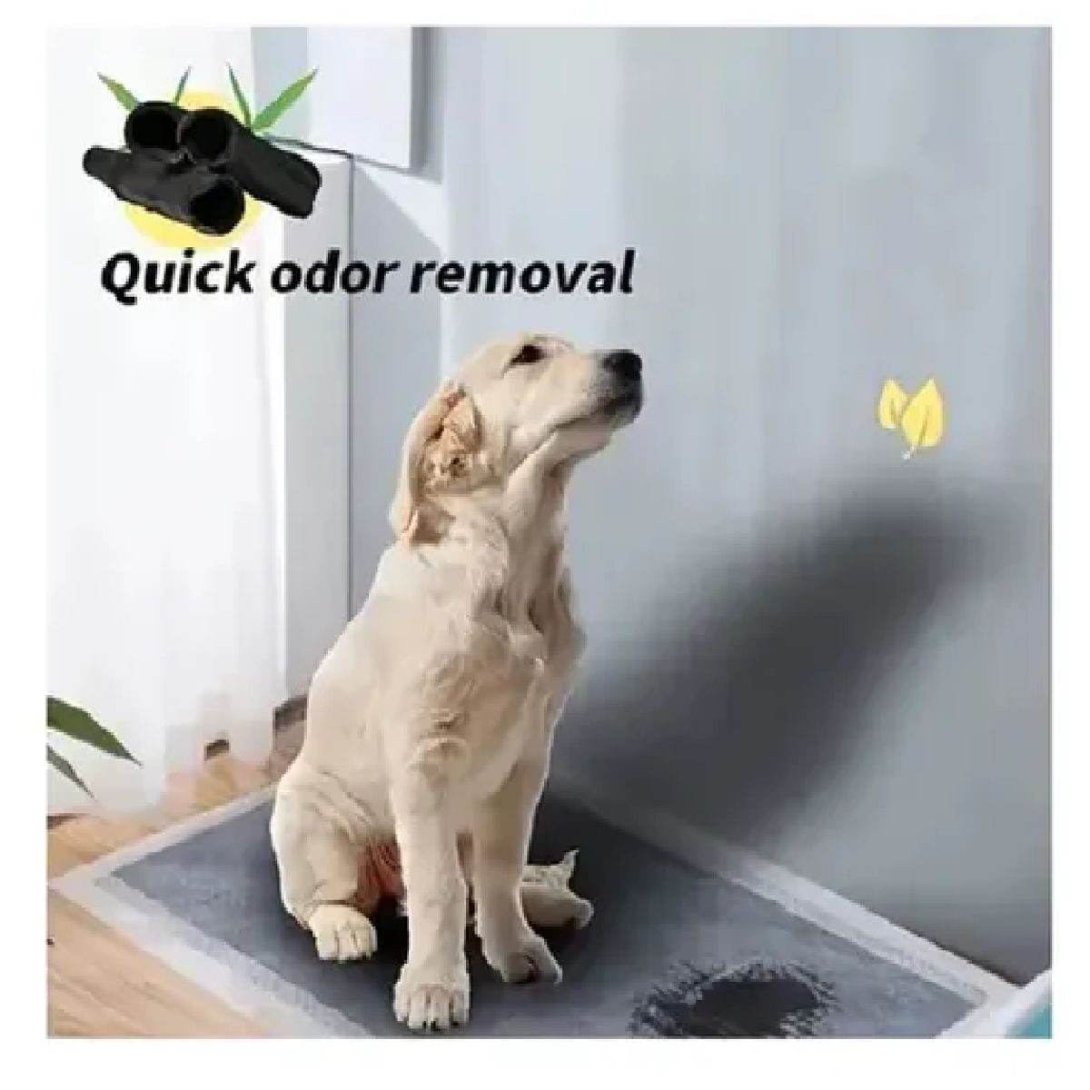 GENERICO - Pañal Para Perros Y De Entrenamiento Piso Absorbente Hannzo