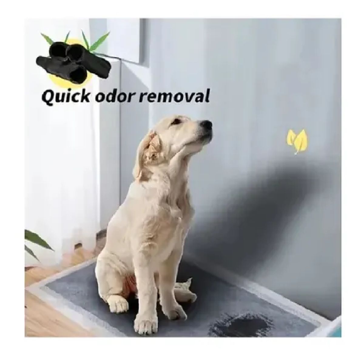 GENERICO - Pañal Para Perros Y De Entrenamiento Piso Absorbente Hannzo