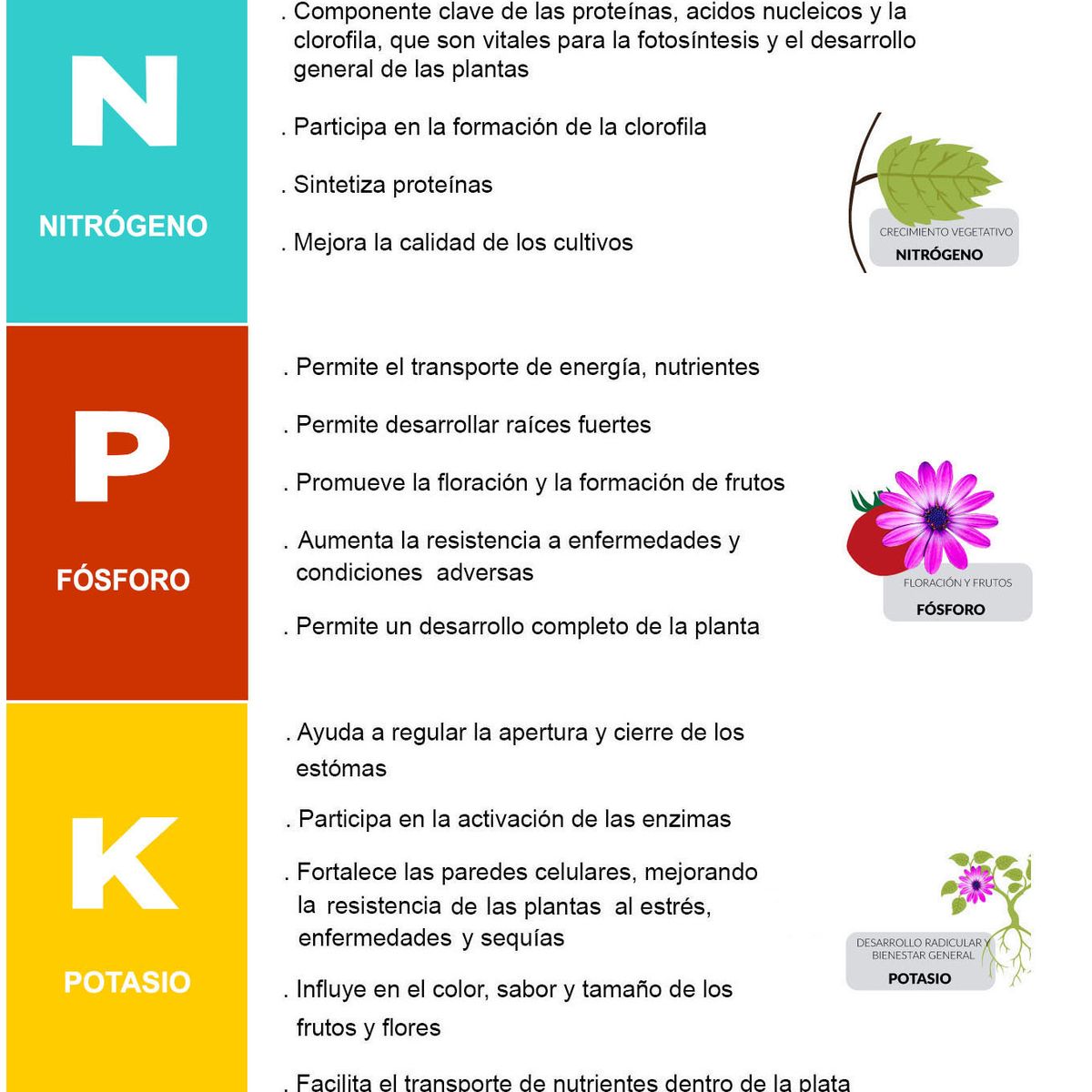 OEM - Guano de Isla orgánico