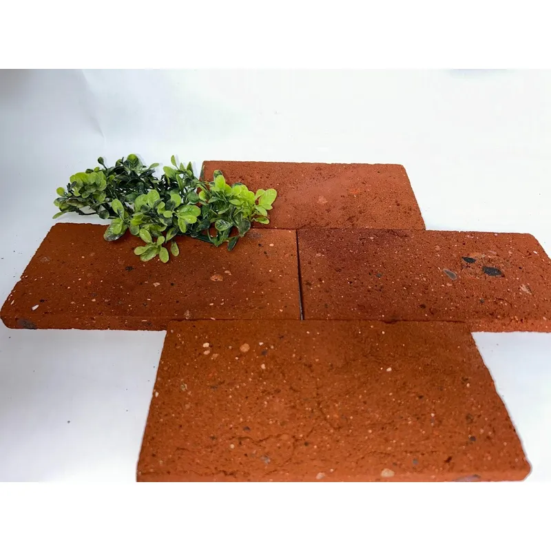 GENERICO - Ladrillo Rococho 10x20 por 4m2