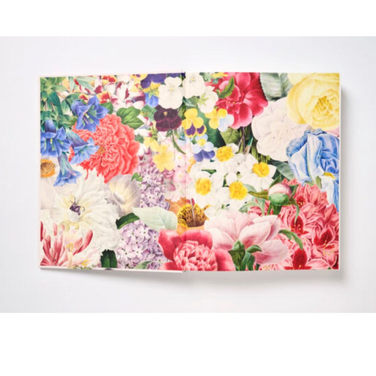 GENERICO - Biblioflora A Celebration of Floral Beauty in Botanical Art en Inglés Libro de decoración