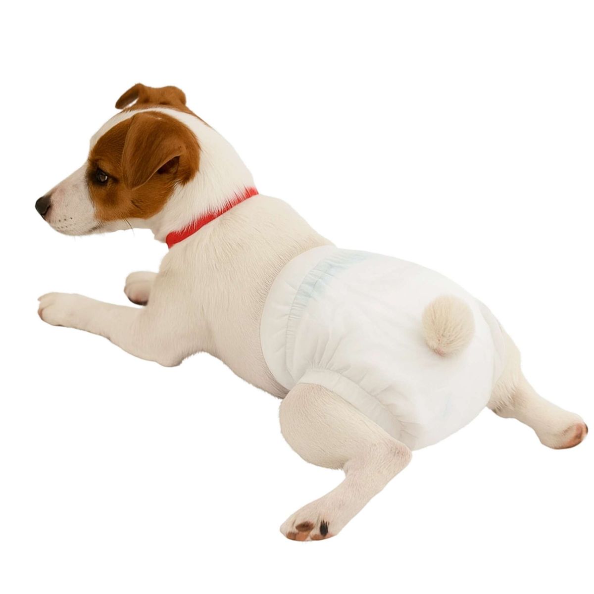 GENERICO - Pañal de Celo Para Hembra - Talla S