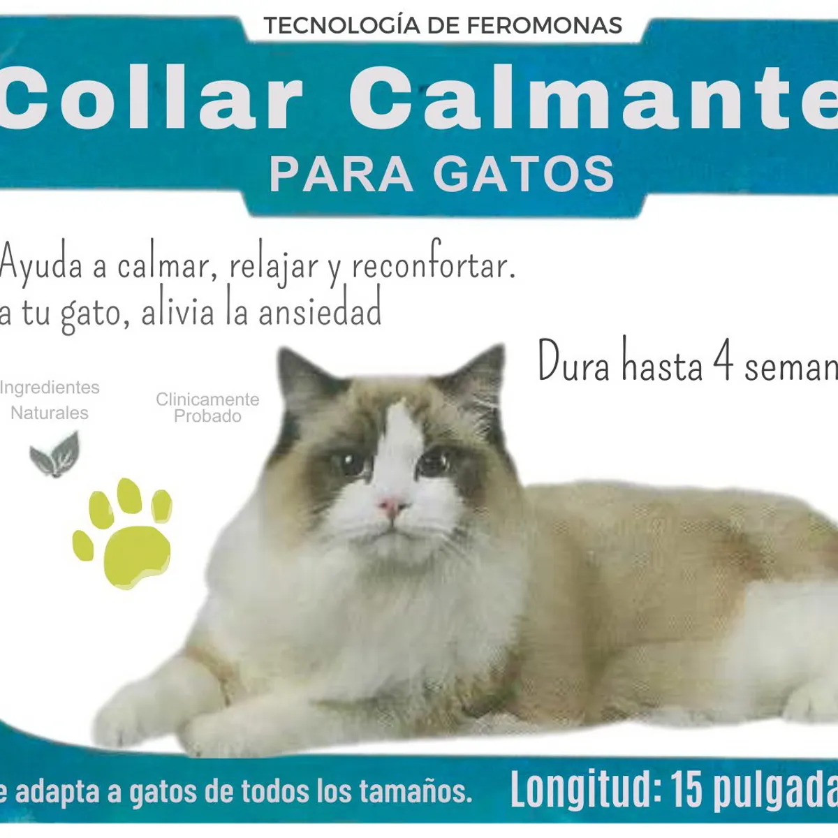 GENERICO - Collar Calmante de Feromonas para Gatos Turquesa - Reduce Ansiedad