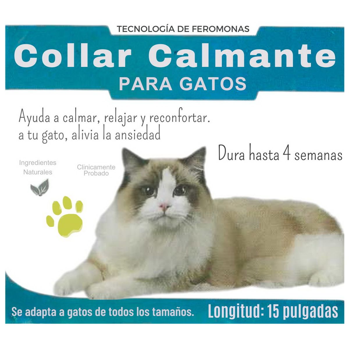 GENERICO - Collar Calmante de Feromonas para Gatos Turquesa - Reduce Ansiedad