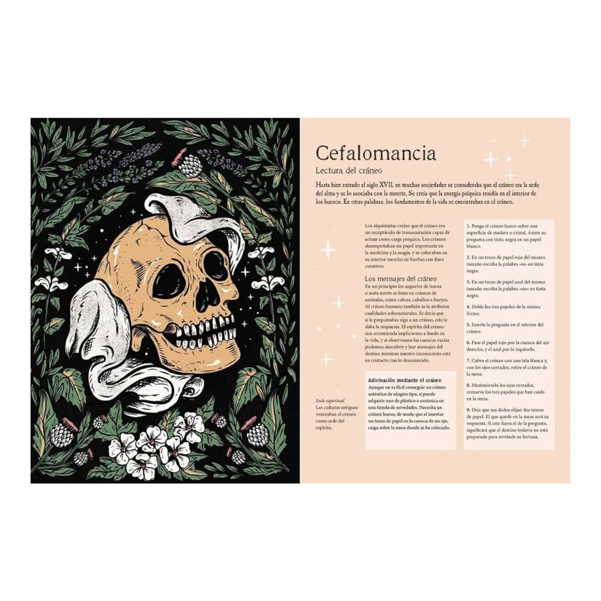 GENERICO - Manual de adivinación - Librero - tapa dura