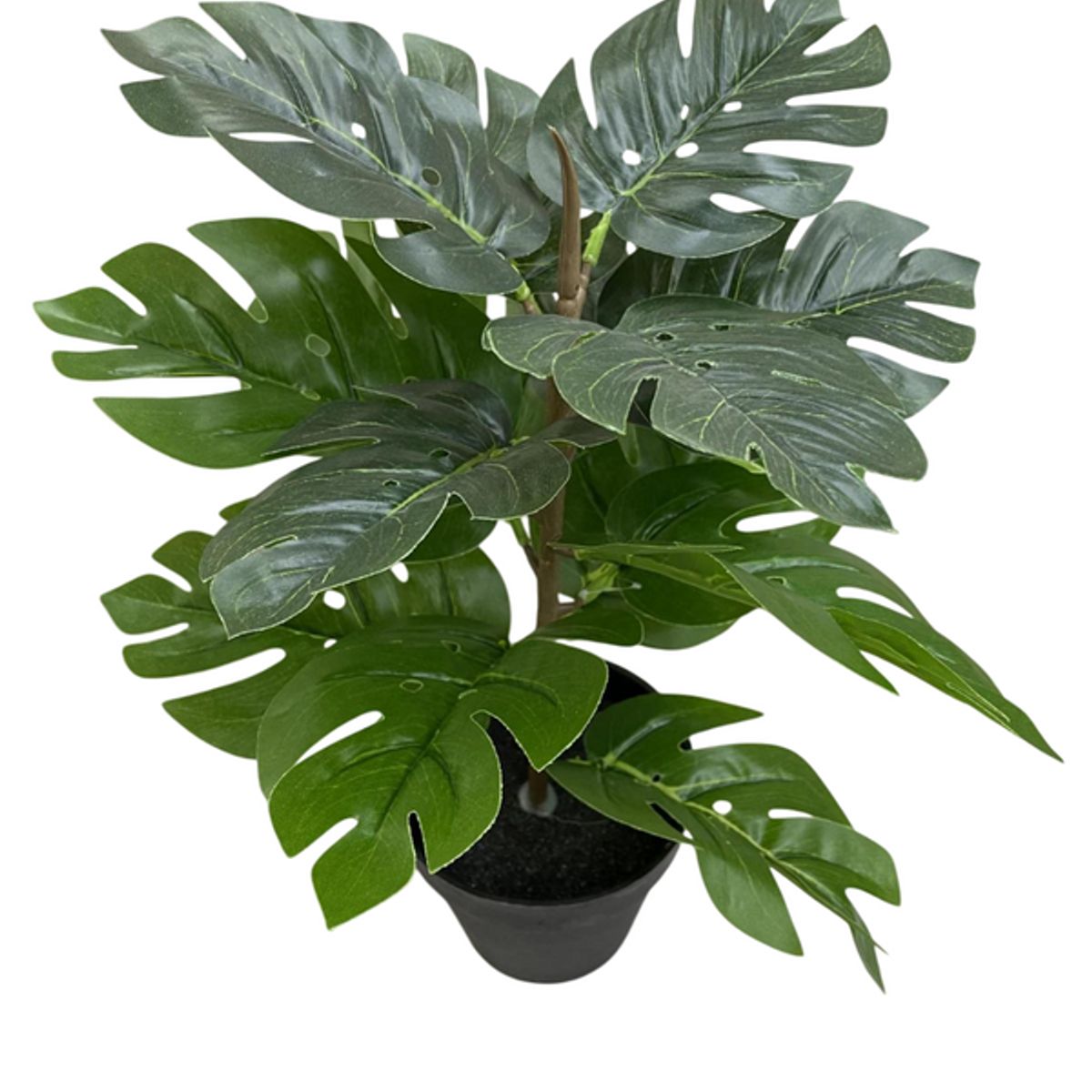 PIA COPELLO STORE - Planta Tropical Artificial