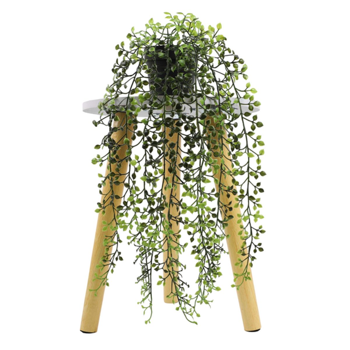 PIA COPELLO STORE - Planta Colgante Artificial  3