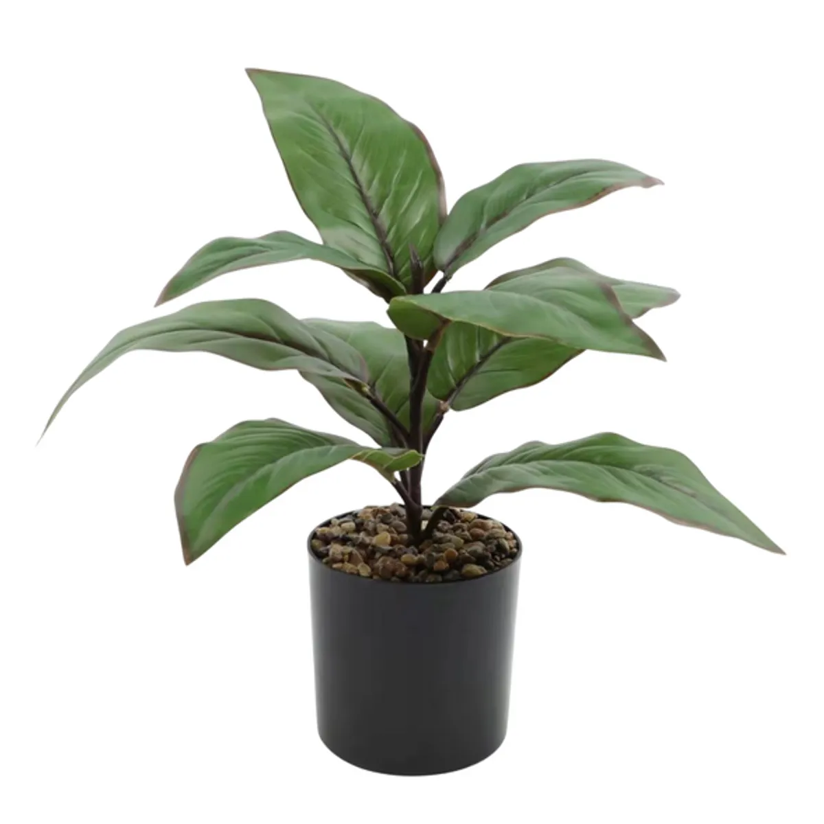 PIA COPELLO STORE - Planta Artificial Hojas Grandes