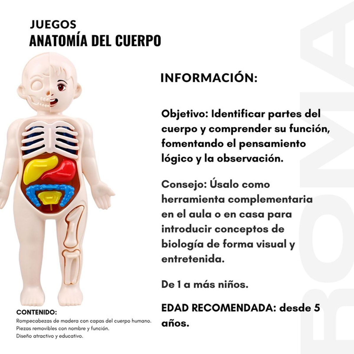 GENERICO - JUEGO EDUCATIVO DE ANATOMÍA DEL CUERPO ENCAJABLE