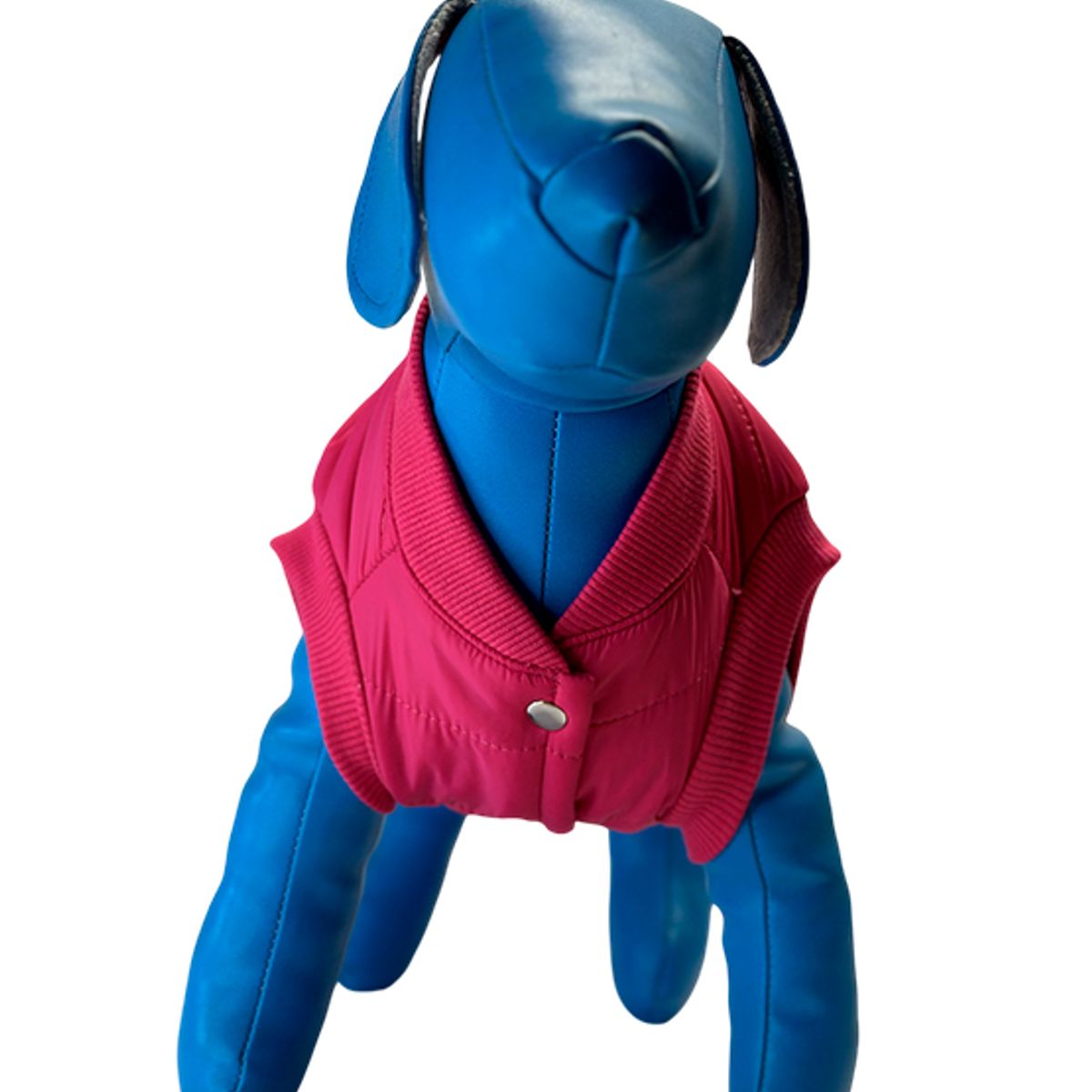 TUPET SHOP - Chaleco Impermeable para Perros The North Face Talla 2