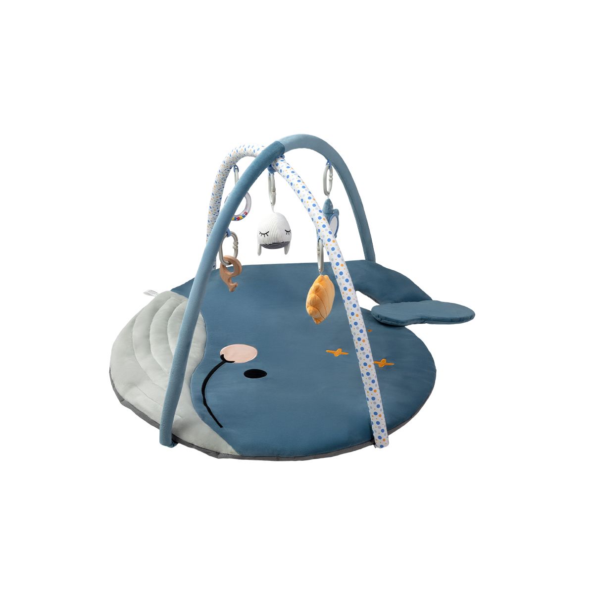 CARESTINO - Gimnasio Didáctico Carestino Ballena Azul