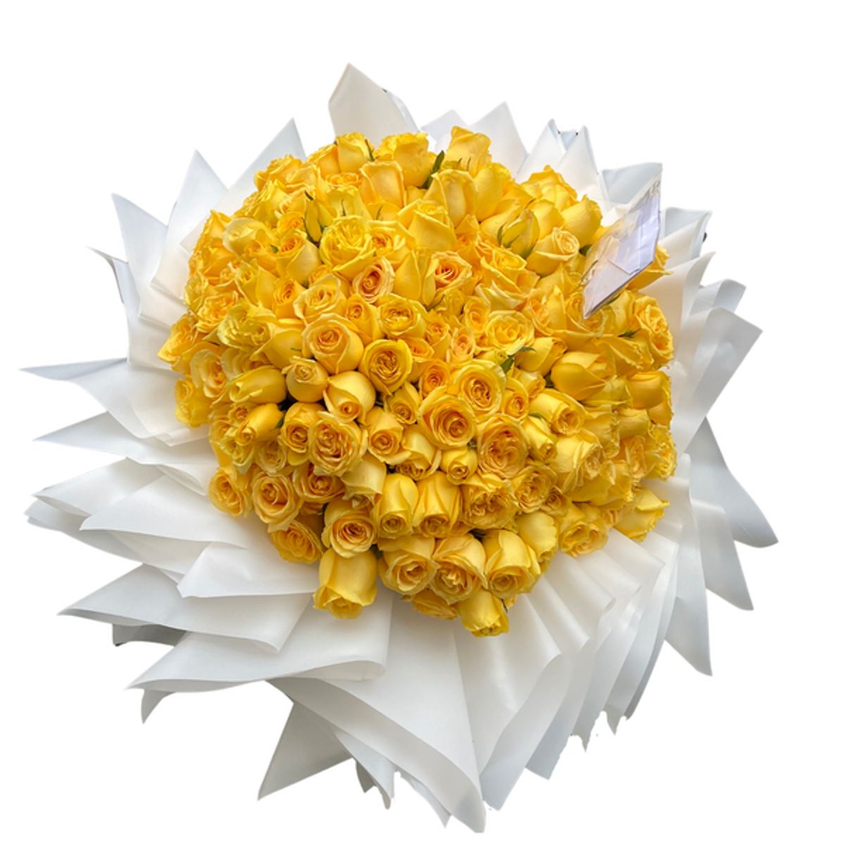 GENERICO - Ramo Buchon de 200 Rosas -  Ramo de Flores