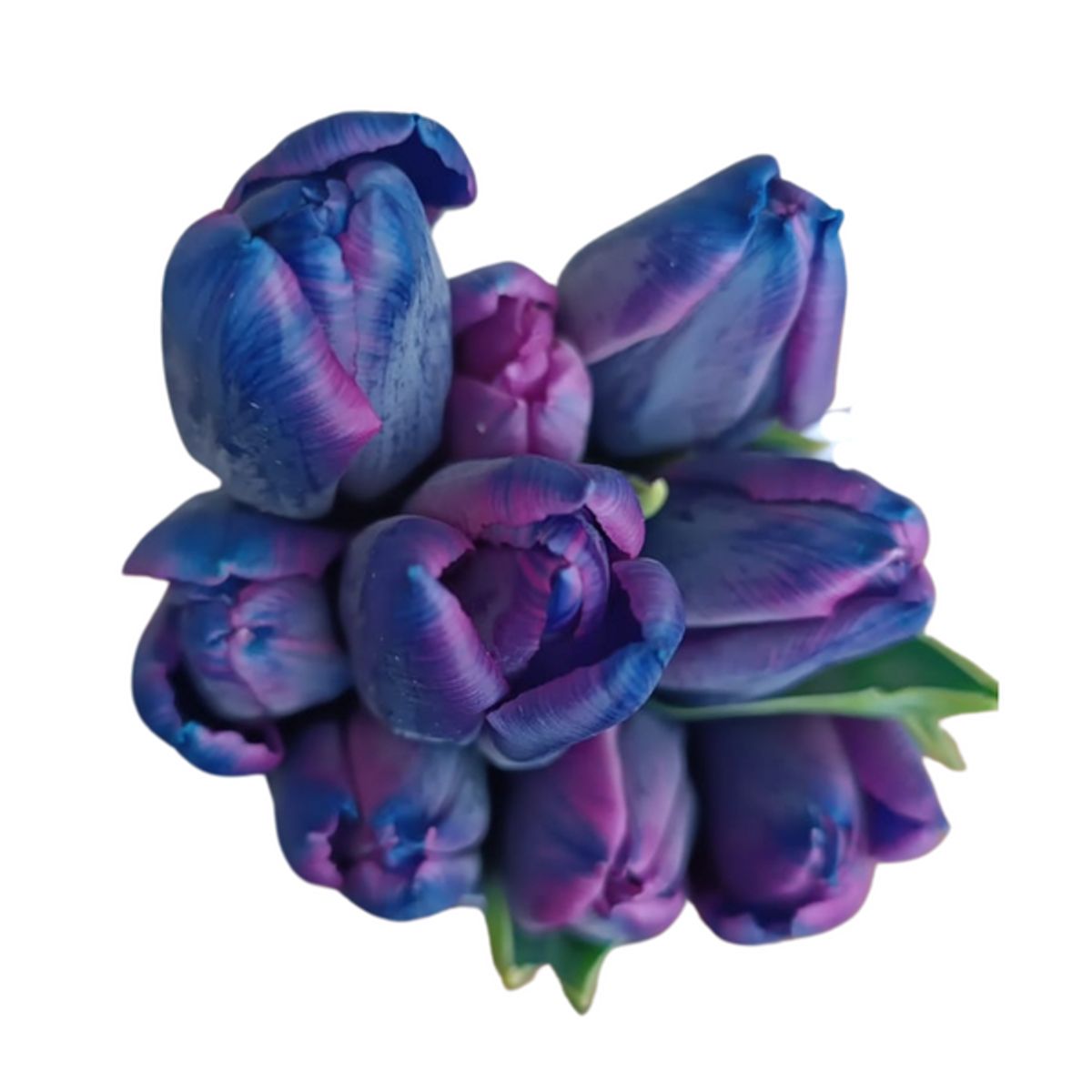 GENERICO - Ramo Bibble de 15 Tulipanes - Ramo de Flores