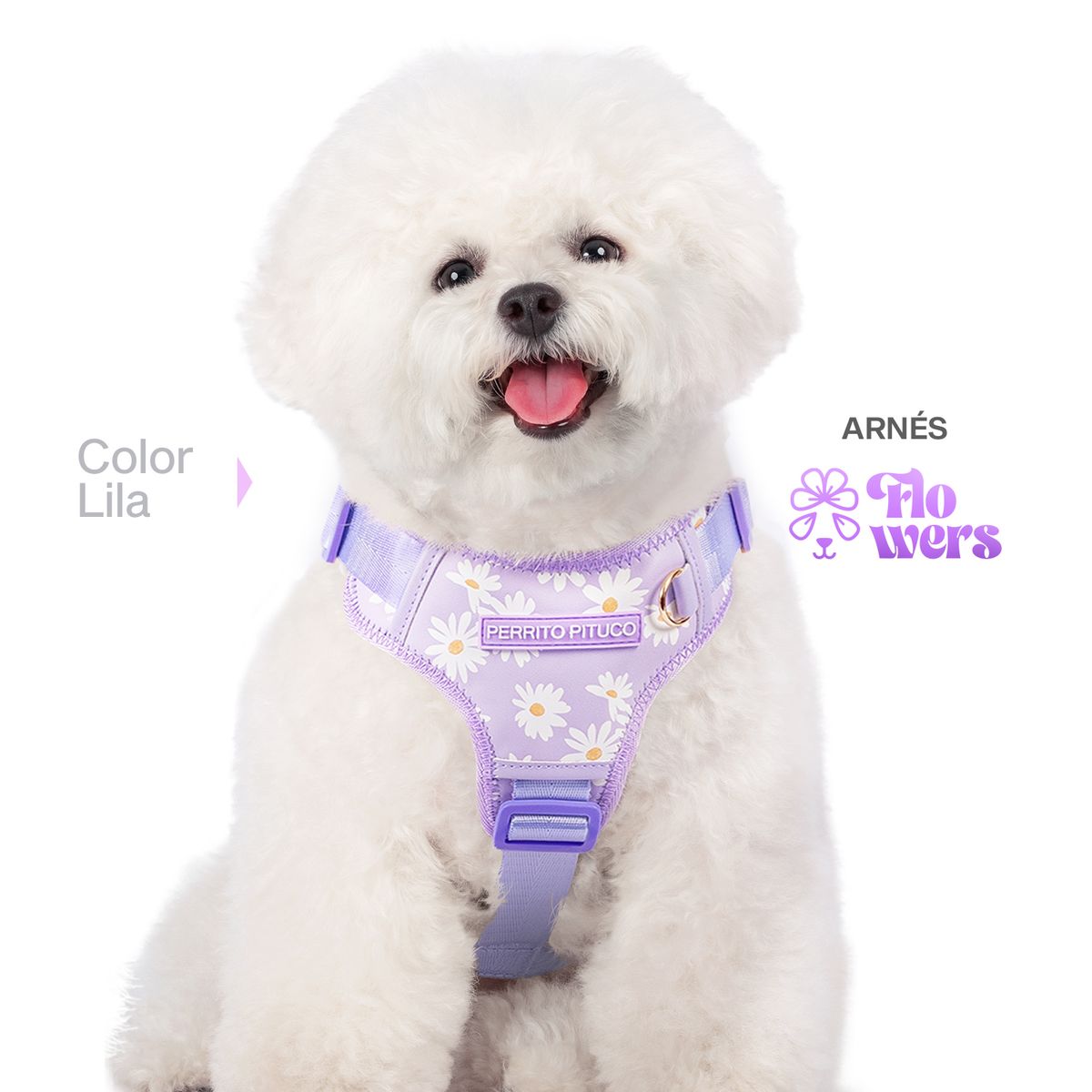 PERRITO PITUCO - ARNÉS PERRITO PITUCO FLOWERS LILA TALLA S