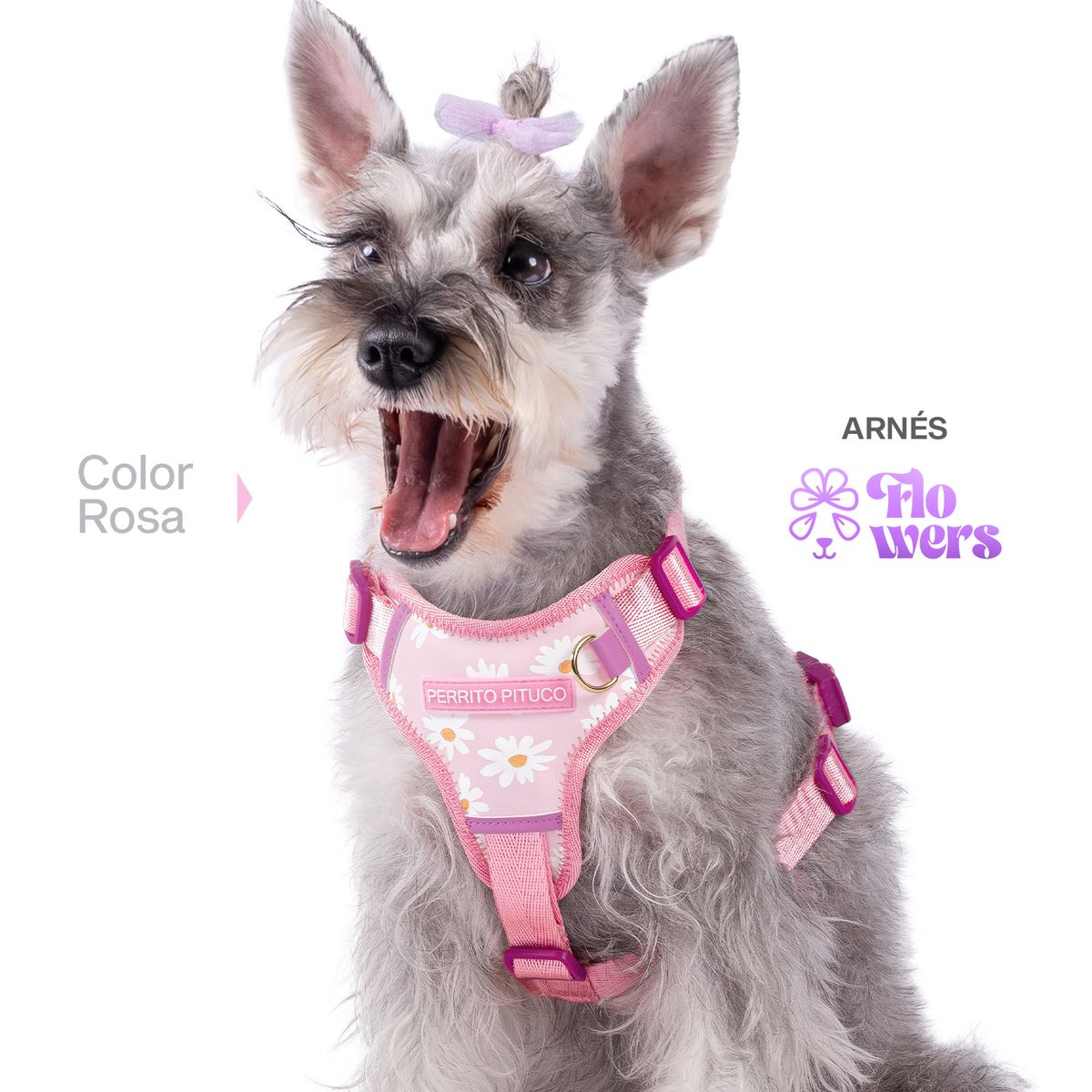 PERRITO PITUCO - ARNÉS PERRITO PITUCO FLOWERS ROSADO TALLA S