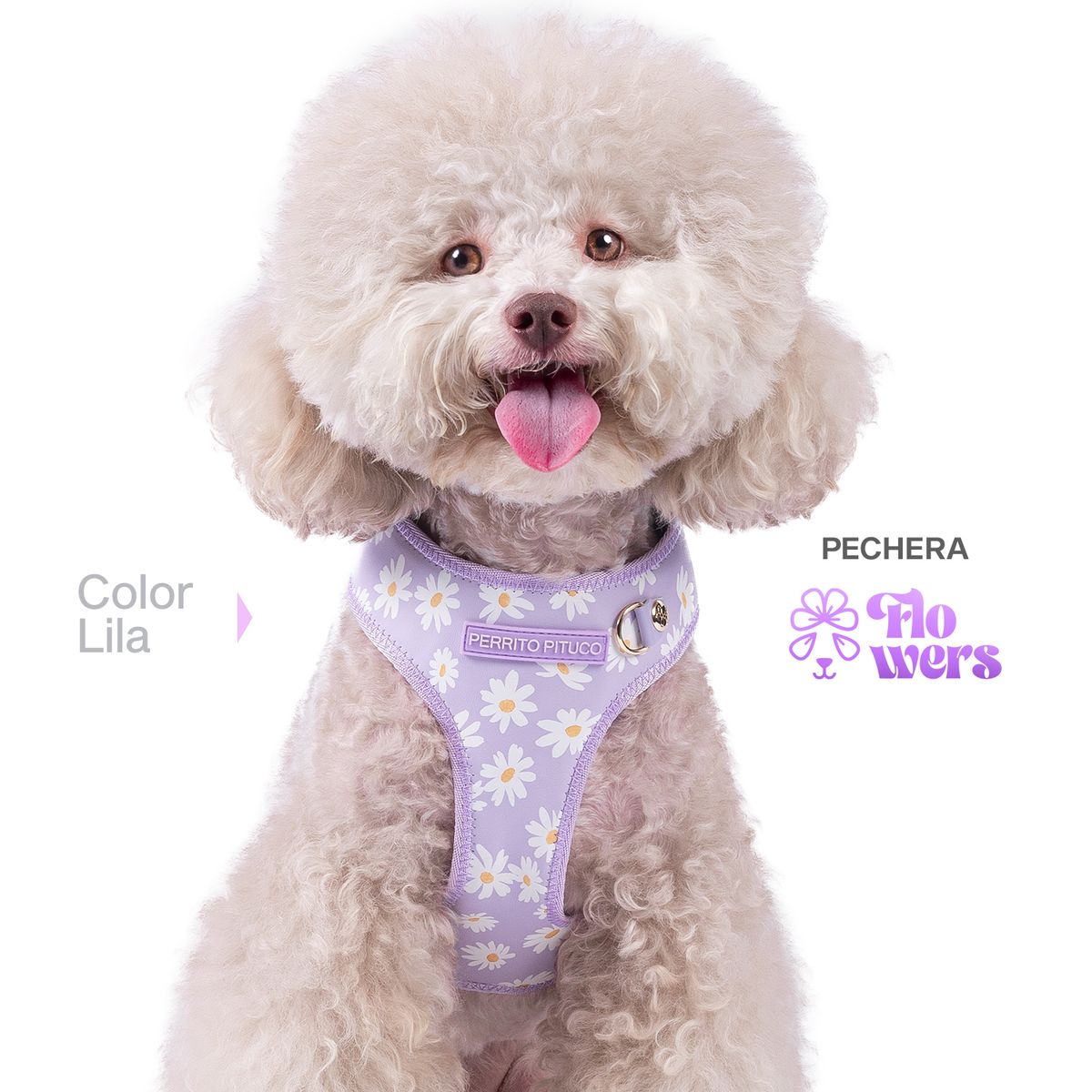 PERRITO PITUCO - PECHERA PERRITO PITUCO FLOWERS LILA TALLA S