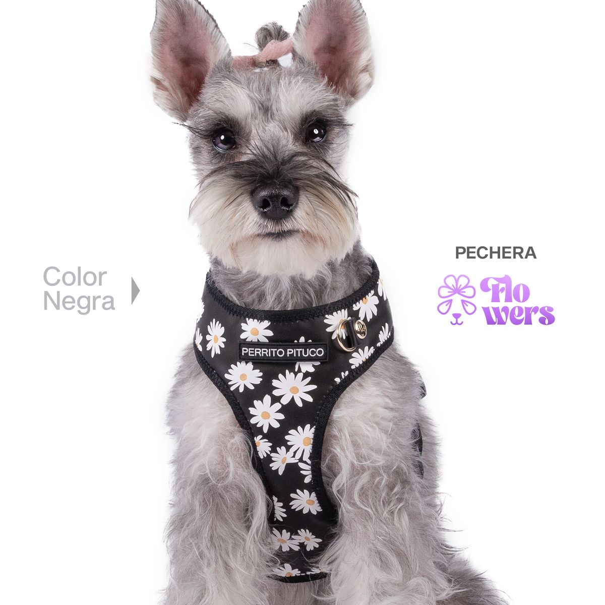 PERRITO PITUCO - PECHERA PERRITO PITUCO FLOWERS NEGRO TALLA L PLUS