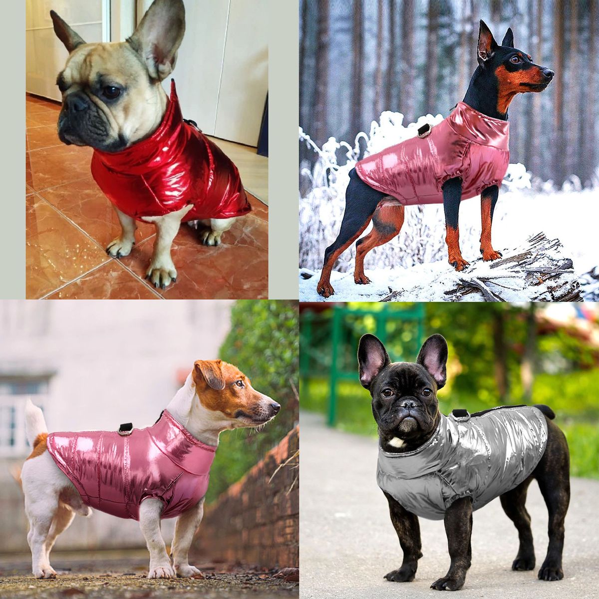GENERICO - CHALECO MASCOTA MODA DORADA IMPERMEABLE ELEGANTE Y SEGURO