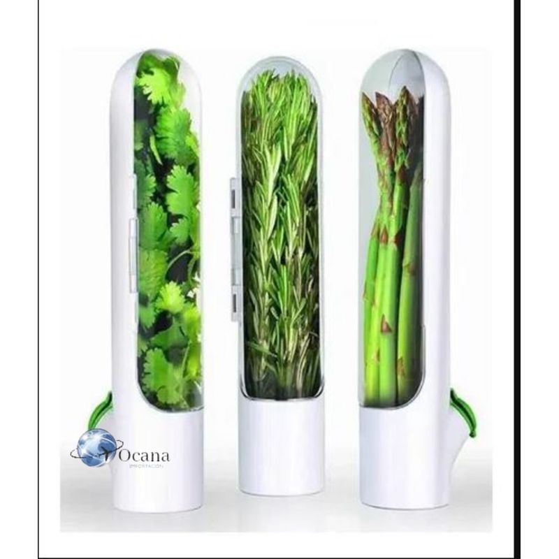 GENERICO - Pack3 Conservador de Verduras Siempre Frescas