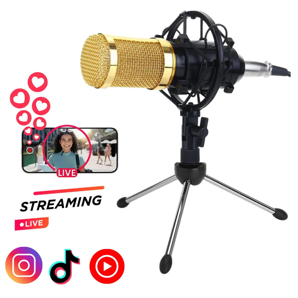 SEISA - Microfono Condensador Grabación Estudio Streaming Podcast Live