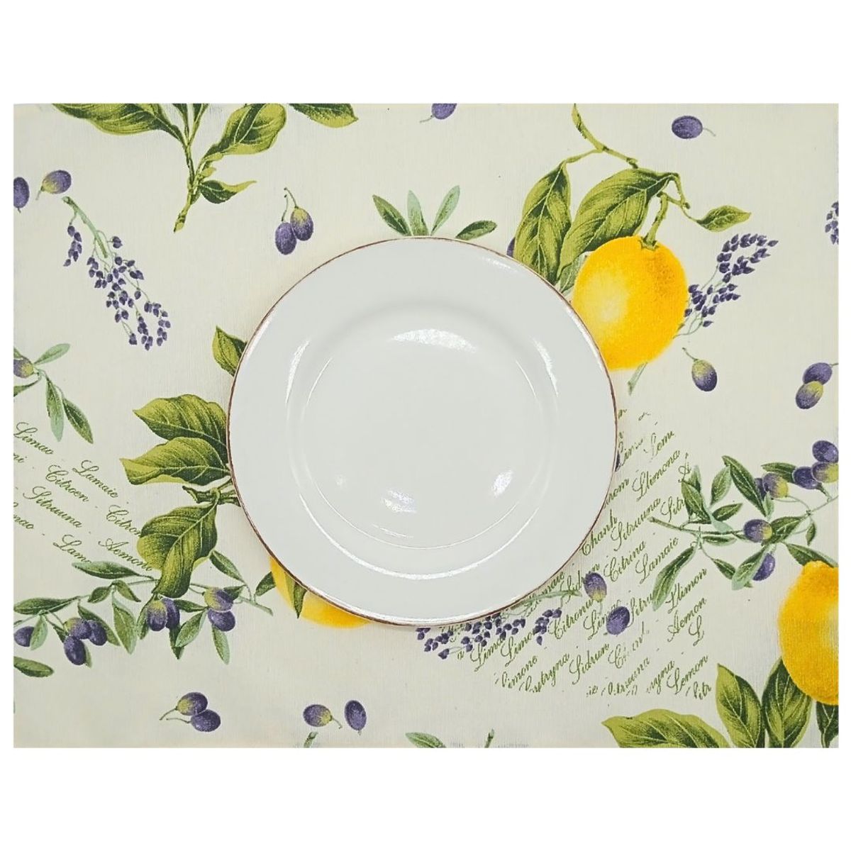 CASIOPIA - Set 4 individuales antimanchas LIMONES