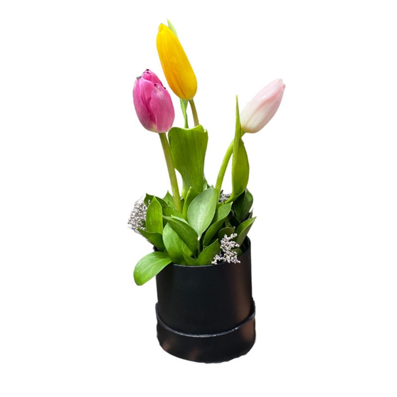GENERICO - Mini Box de 3 Tulipanes - Box Floral
