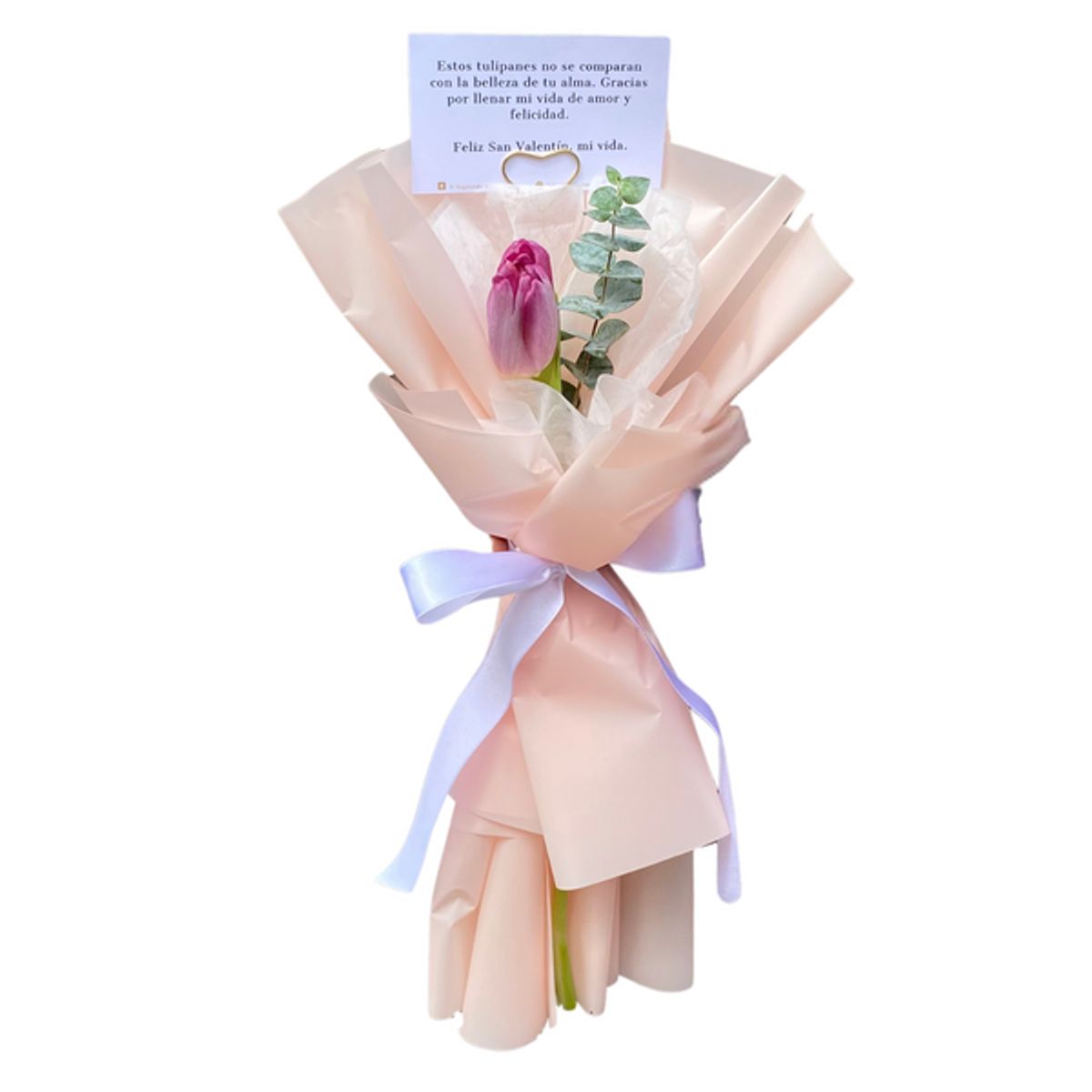 GENERICO - Ramo de 1 Tulipan - Ramo de Flores