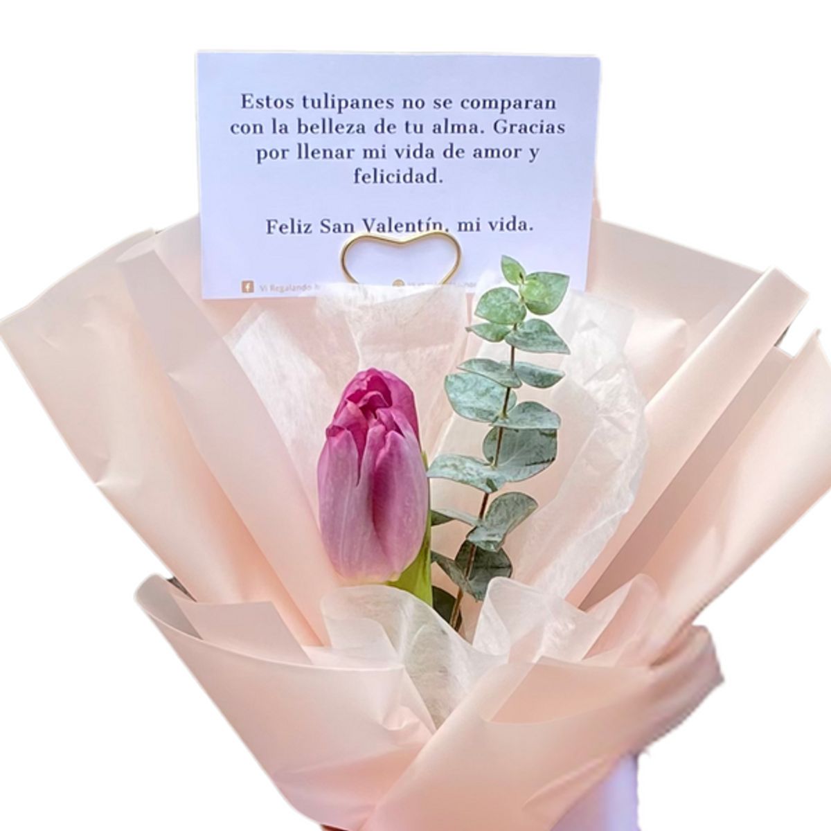 GENERICO - Ramo de 1 Tulipan - Ramo de Flores