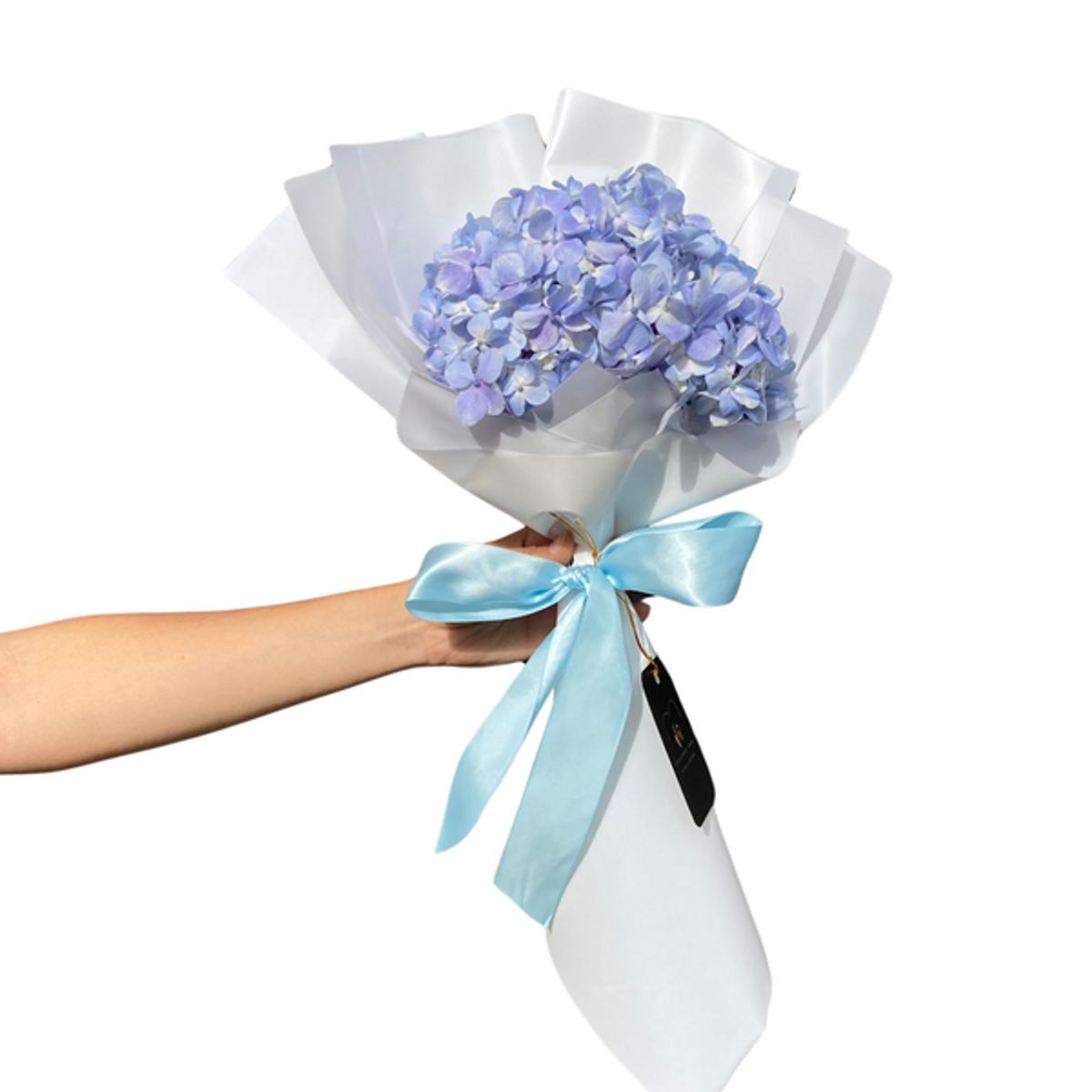 GENERICO - Ramo de 1 Hortensia Celeste -  Ramo de Flores