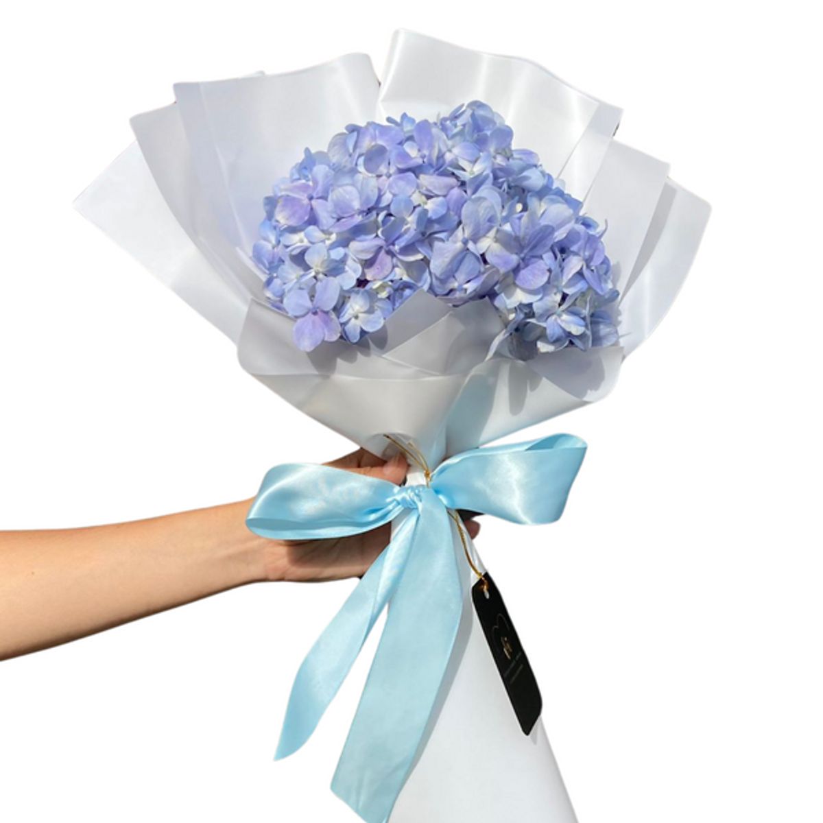 GENERICO - Ramo de 1 Hortensia Celeste -  Ramo de Flores