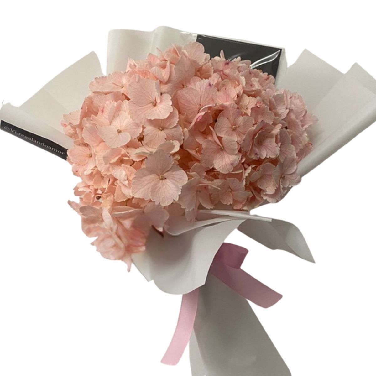 VI REGALANDO AMOR - Ramo 1 Sola Hortensia- ramo de flores