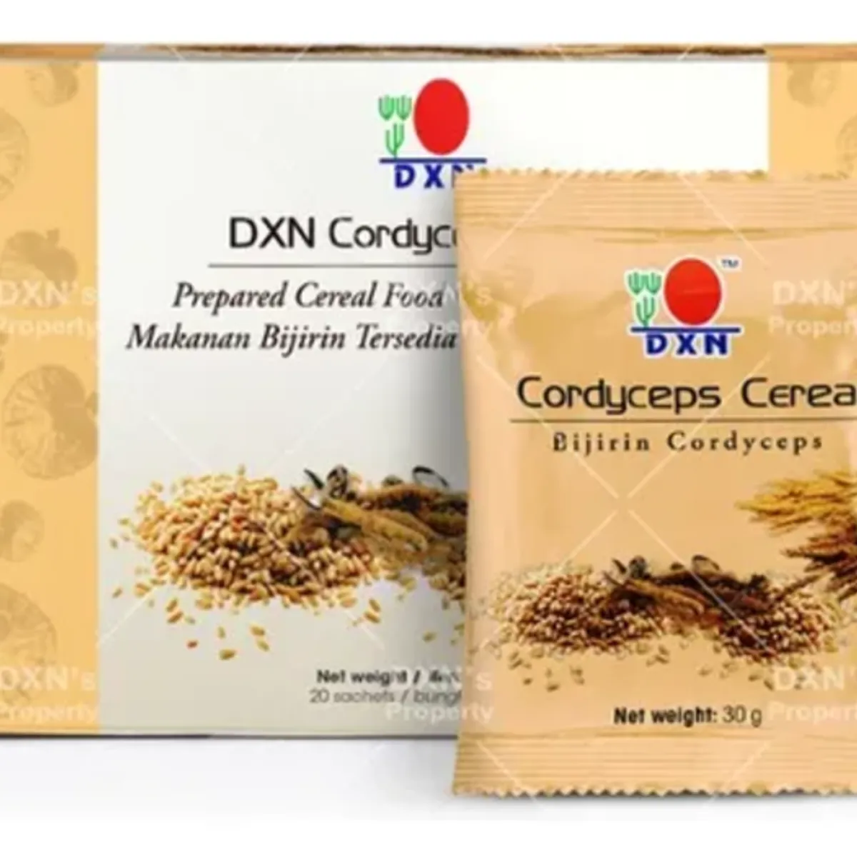 DXN - DXN Hongo Cordyceps Cereal 20s x 30g