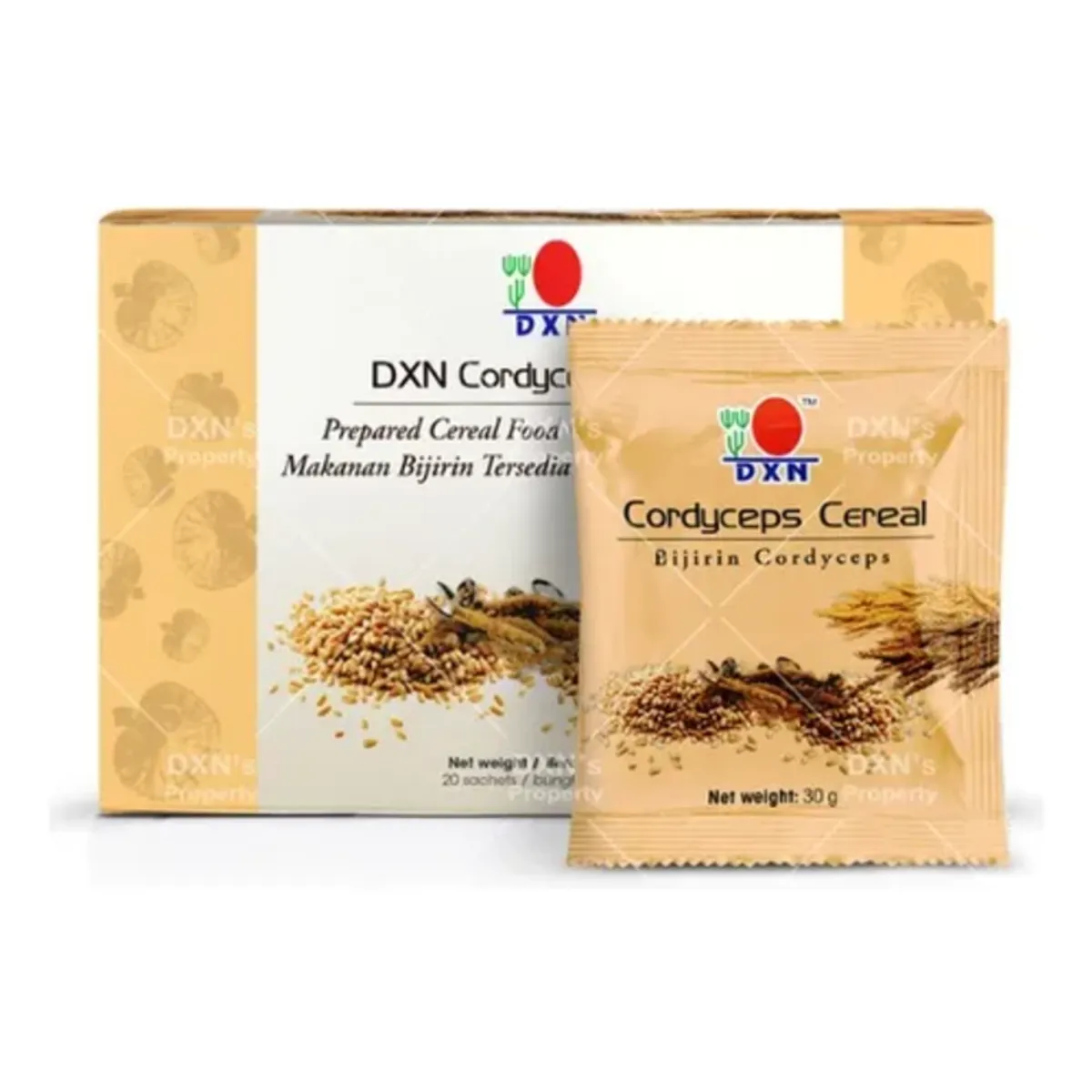 DXN - DXN Hongo Cordyceps Cereal 20s x 30g