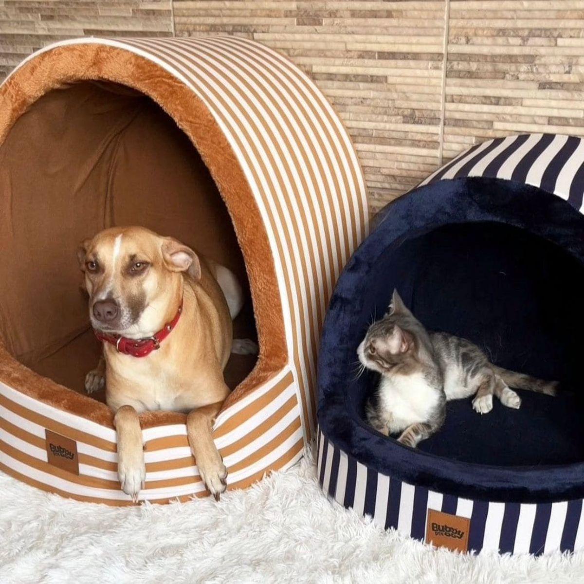 PRETTYPETS - CAMA IGLU AZUL L PARA MASCOTAS BUGGY PET