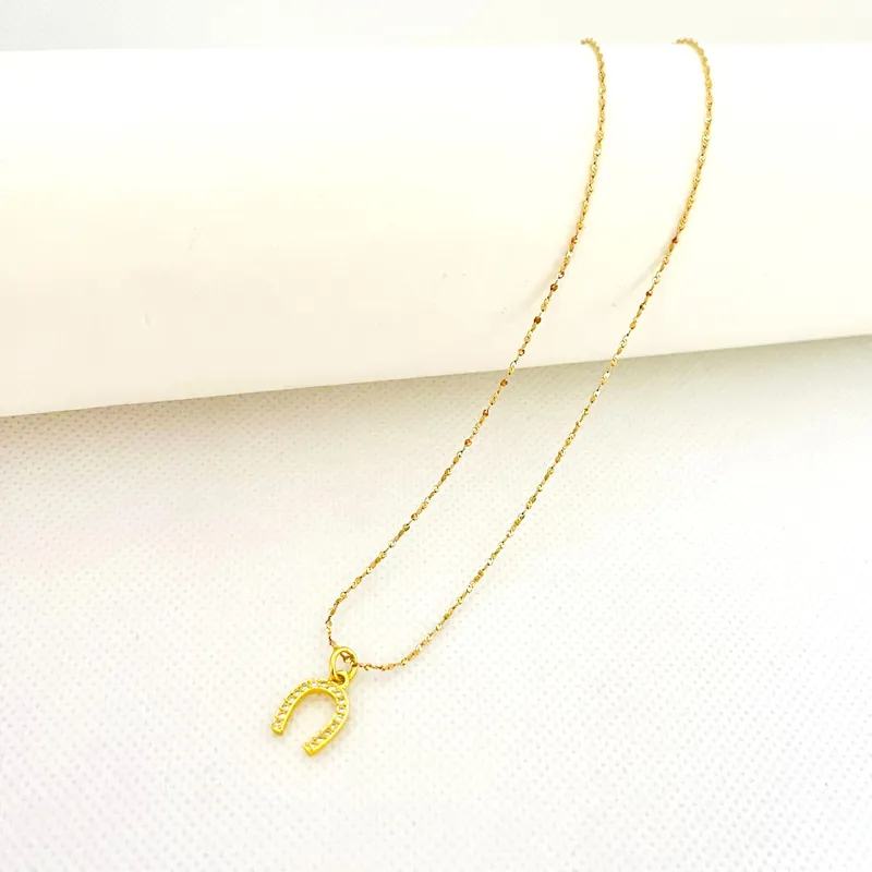 GENERICO - Collar de Acero Herradura 43 cm