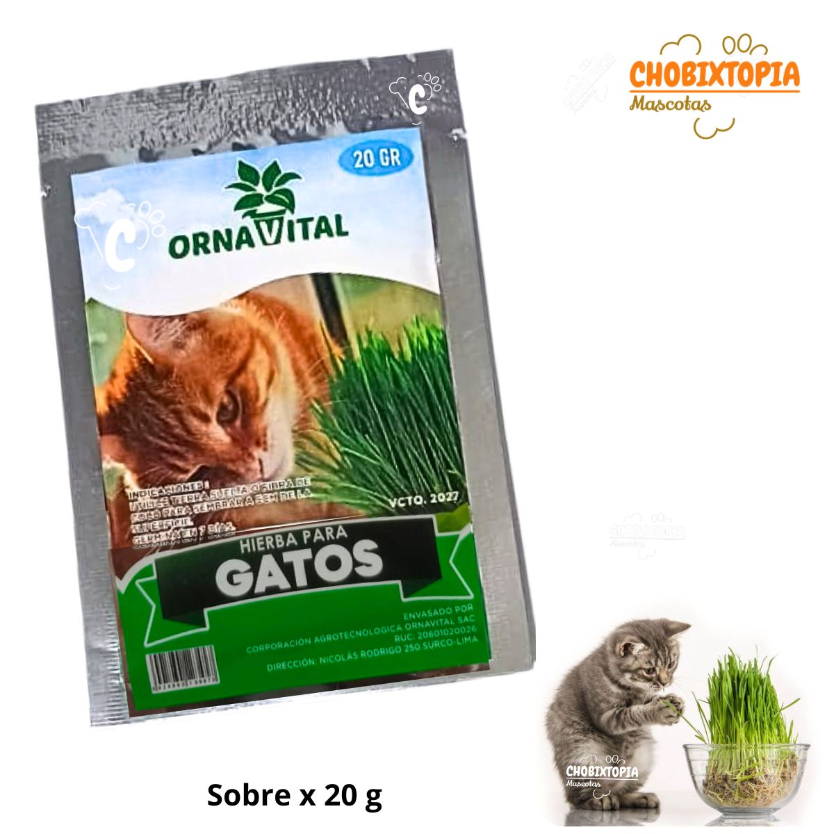 GENERICO - SEMILLA DE HIERBA GATERA EN SOBRE x 20g