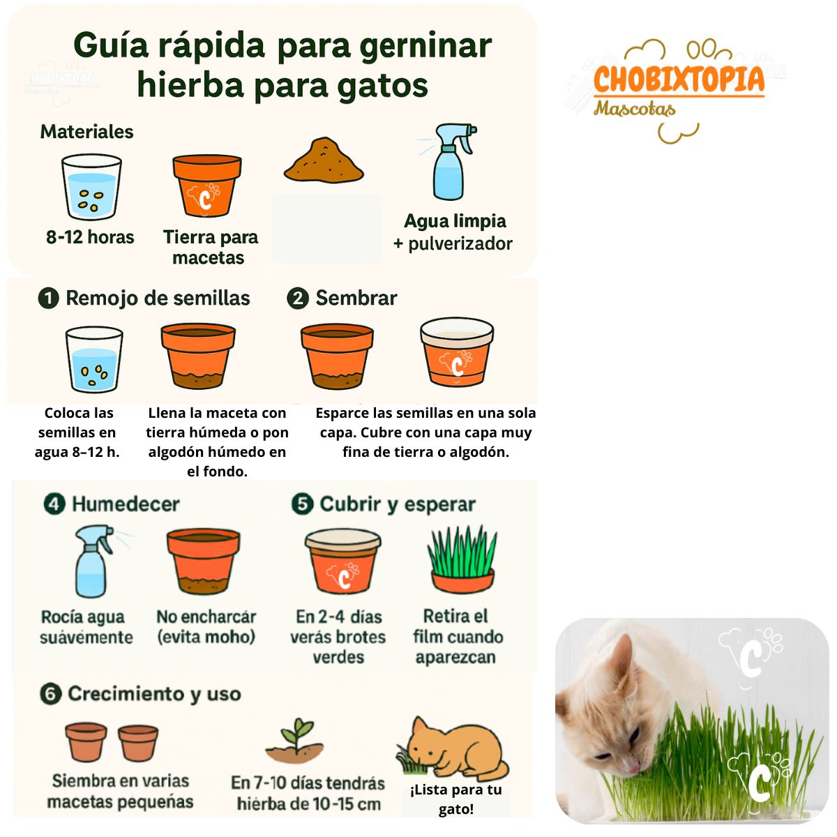 GENERICO - SEMILLA DE HIERBA GATERA EN SOBRE x 20g