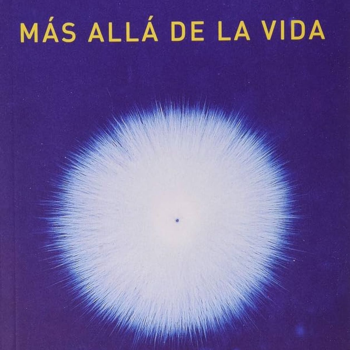 GENERICO - Consciencia Más allá de la Vida - Pim Van Lommel