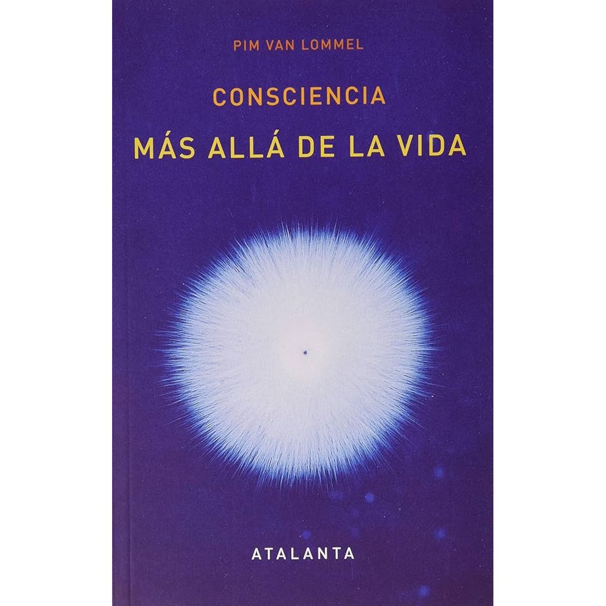 GENERICO - Consciencia Más allá de la Vida - Pim Van Lommel