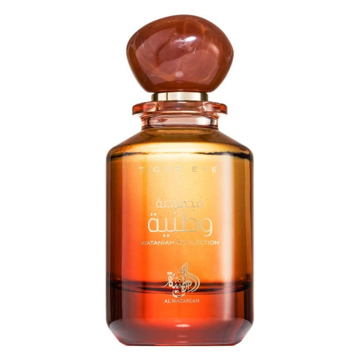 GENERICO - AL WATANIAH COLLECTION 100ML TIGER EYE EDP