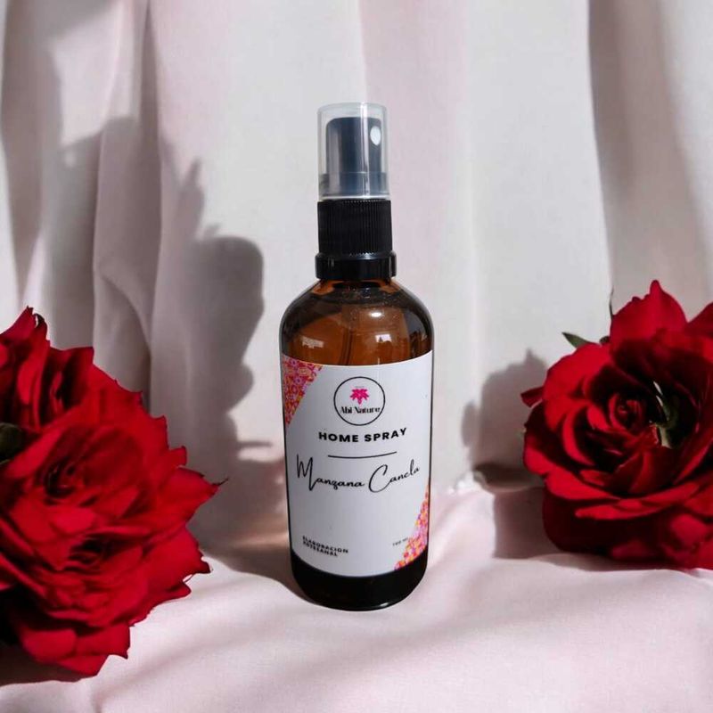 GENERICO - HOME SPRAY AROMATIZADOR DE AMBIENTE Y TEXTIL MANZANA CANELA 100 ML