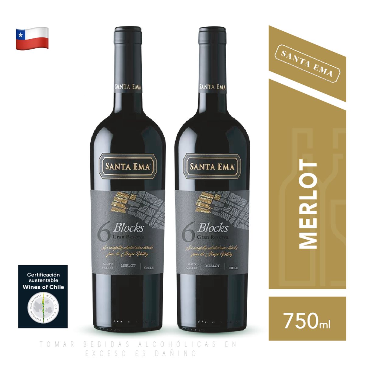 SANTA EMA - Vino Santa Ema Blocks 6 Grand Reserva Merlot Pack x2
