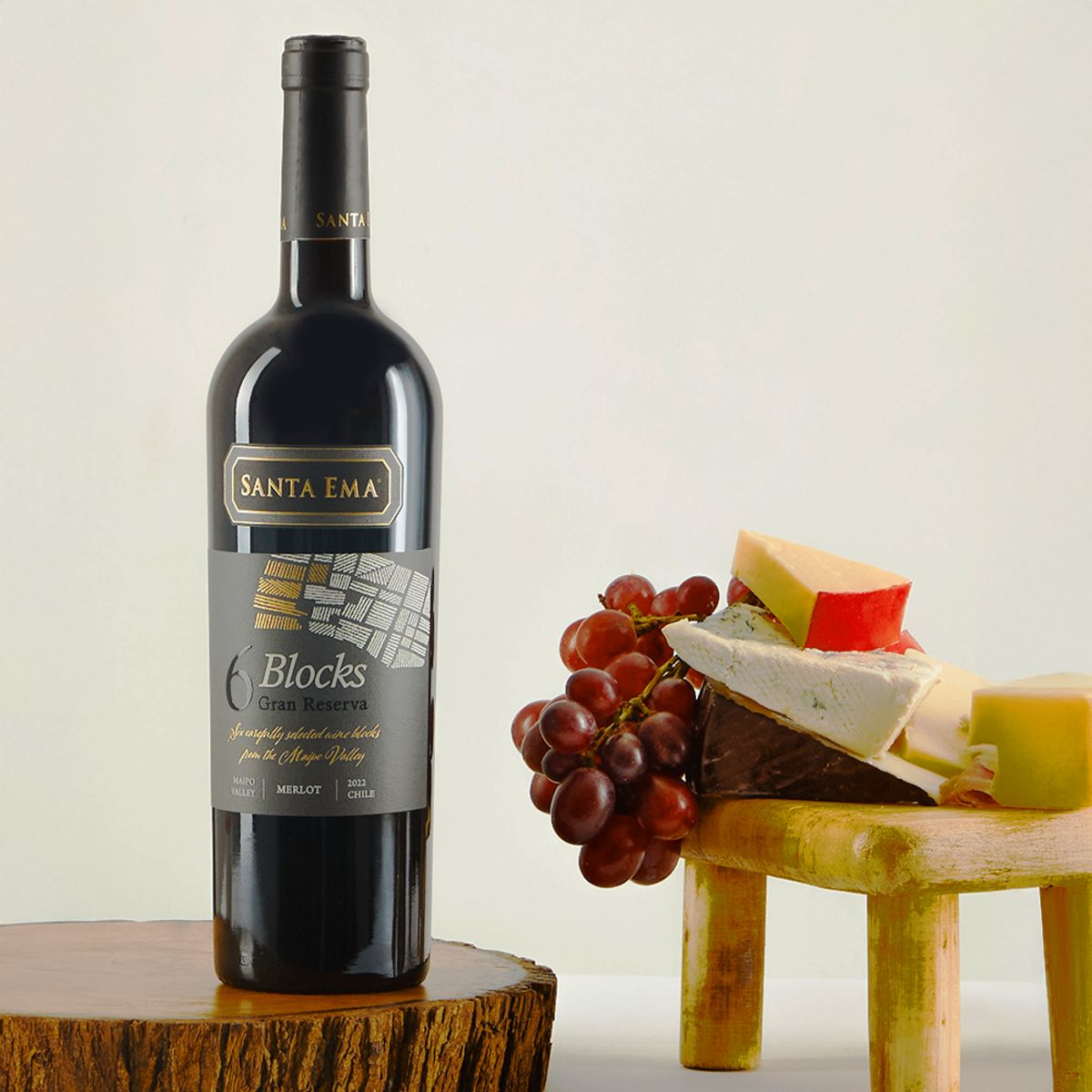 SANTA EMA - Vino Santa Ema Blocks 6 Grand Reserva Merlot Pack x2