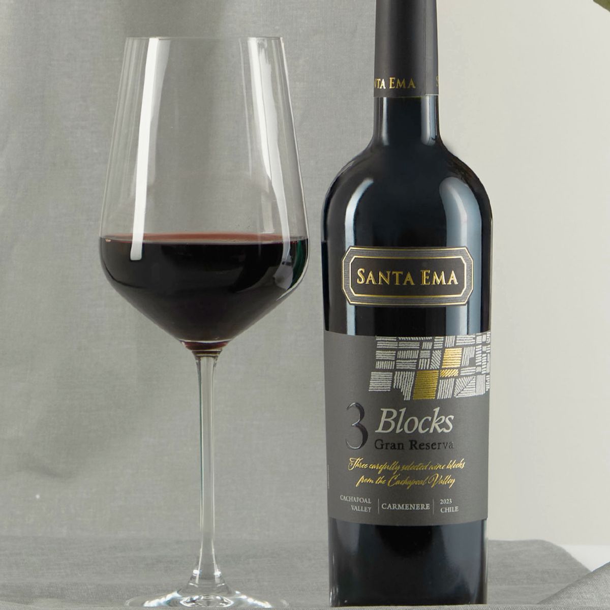 SANTA EMA - Vino Santa Ema Blocks 3 Grand Reserva Carmenere Pack x2